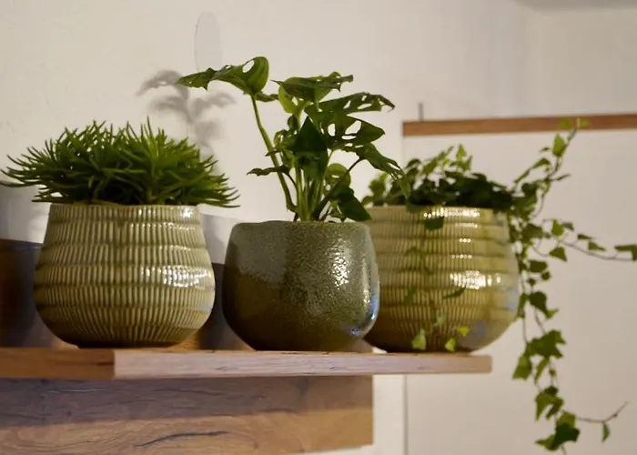 Urban 아파트 Kauns