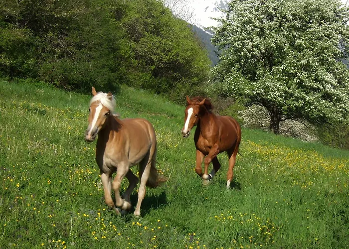 Urban 아파트 Kauns